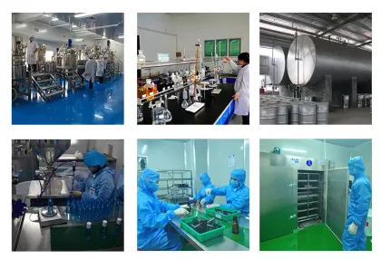 Pure Juniper essential oil for treating sore throat and congestion