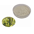 supply Freeze dried Aloe vera extract powder