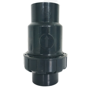 Hephis Single Union Plastic Check Valve: Ideal Pipe Fitting for Water Treatment Plants