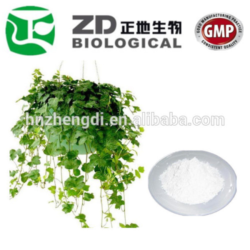 Food supplement high quality natural ivy leaf extract