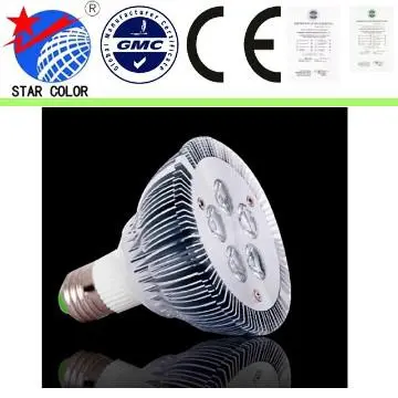 High Power LED PAR38