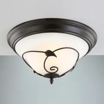 Metal Leaf Ceiling Lamp Br3002