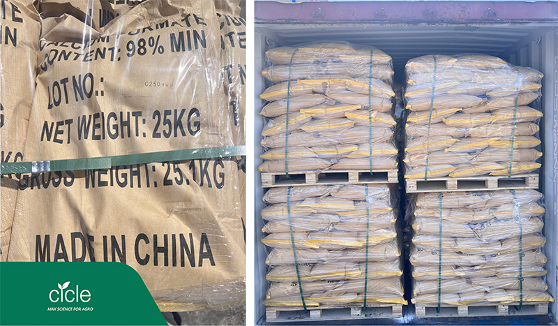 Calcium Formate