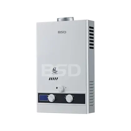 BSD flue type gas water heater