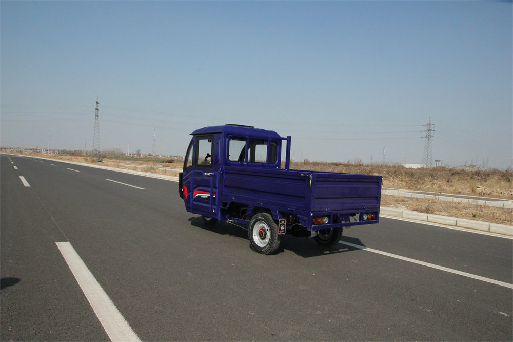 Electric tricycle for family transport