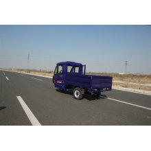 Electric tricycle for family transport