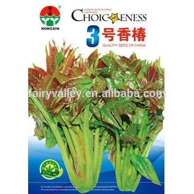 Chinese toon seeds cedrela sinensis seeds Toona sinensis seeds For Growing-Toona No.3