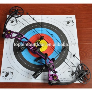 Topoint Archery Compound Bow T2,PURPLE color,High-end