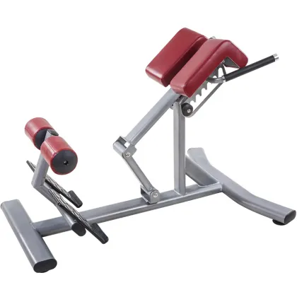 Gym Fitness Equipment Roman Chair