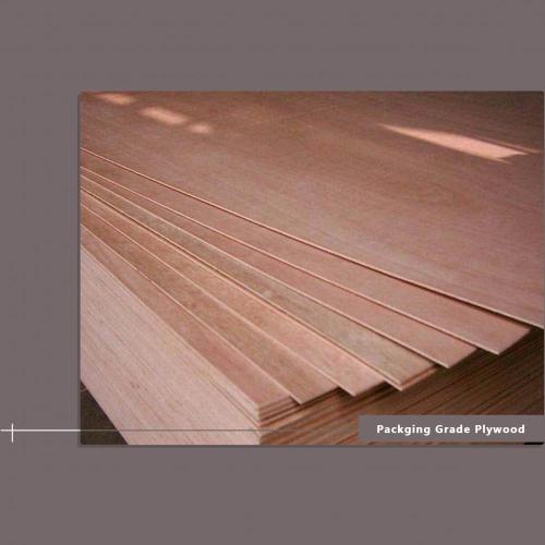 Euro standard Packaging Grade Plywood 18 mm