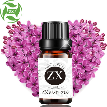 Wholesale Professional FACTORY Clove Essential Oil