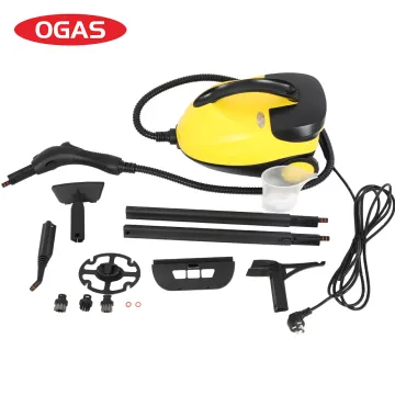 OGAS OEM Car Steam Cleaner: Professional Steam Washing Machine for Auto Sterilization