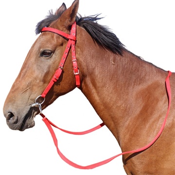Adjustable Nylon Webbing Horse Halter - Equestrian Pony Accessories