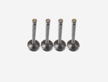 Heavy Duty Exhaust Valve