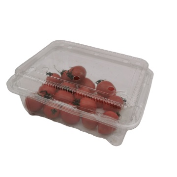 Wholesale Custom Clear Disposable Plastic Fruit Clamshell Packaging Containers with Lid