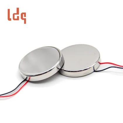 Beauty Equipment Ultrasonic Transducer