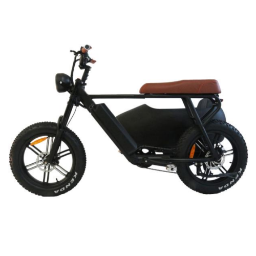 Gashebel Grizzly Downhill Tricycle elettrico