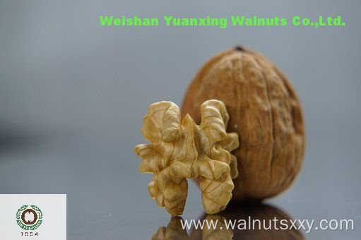 Chinese Walnut Kernels Light Quarters hand shelled(LQ)