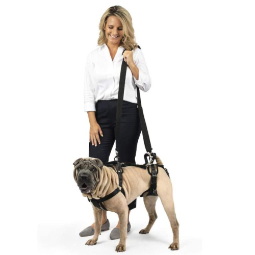 Lifting Aid Harness for Dogs