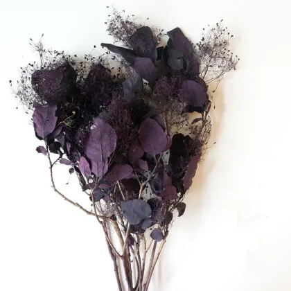 Wholesale Eternal Flower Smoke Tree for Floral Arrangements
