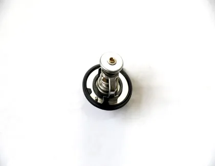 Chery FORA Thermostat 481H-1306020 Compatible Models