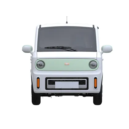 Chesh 01pro Electric Mini Van for Express Delivery - Competitive Priced New Energy Van