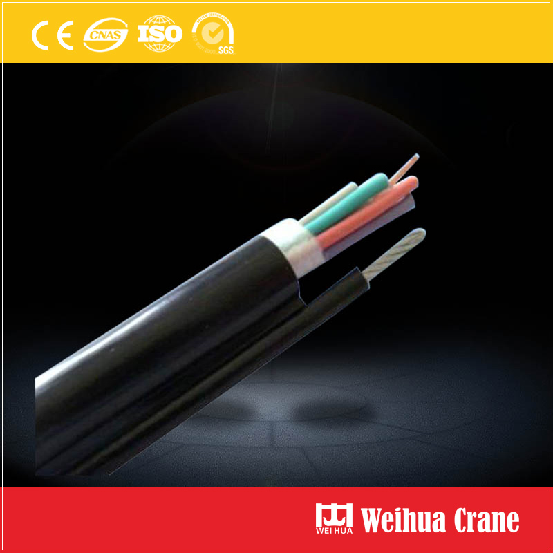 Pendant Cable