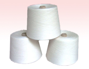 100%Acrylic Ne30/1 Yarn (cotton spun)