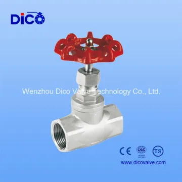 200wog Stainless Steel Globe Valve Bsp/BSPT/NPT Thread
