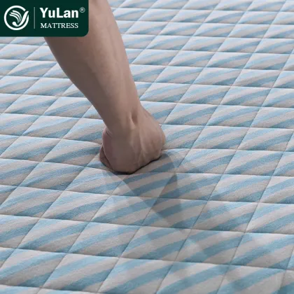 Coconut Palm Coir Fiber Mattress Pad - Cheap Queen Size Mattress for School, Hospital, and Home