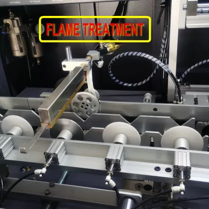 Single color automatic bottle screen printer with UV