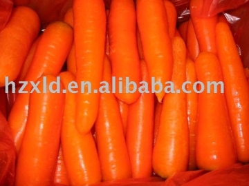 carrot