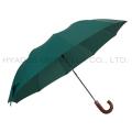 10 Ribs Auto Open 2 Folding Umbrella