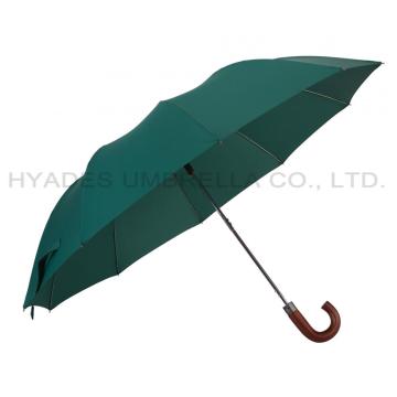 10 Ribs Auto Open 2 Folding Umbrella