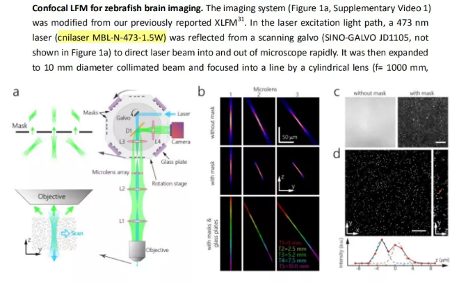 Confocal Light Field Microscopy