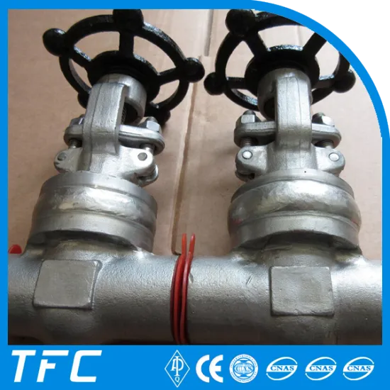 ss316 manual globe valve ss304 body