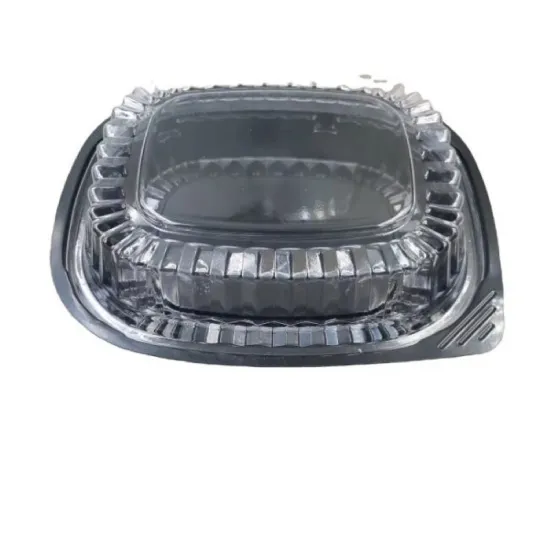 Transparent BOPS Tray Container Box for Sushi Food