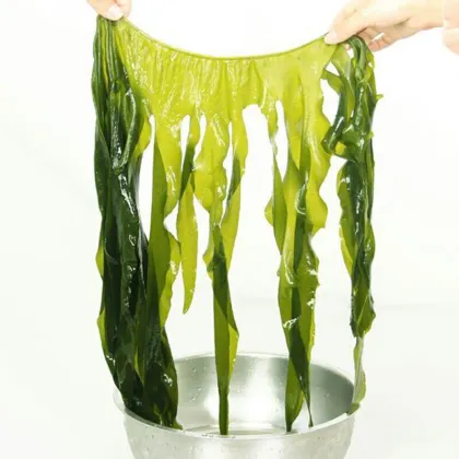 Salted Seaweed Salted Wakame Leaves