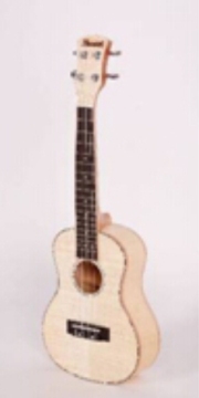 Ukulele QST