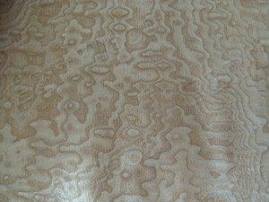 Popular Oliver Ash Burl Veneer