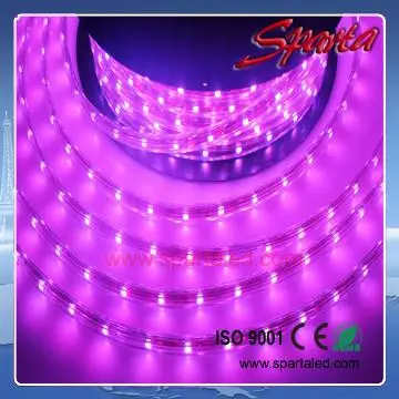 220V  LED strip ligth  60leds/m