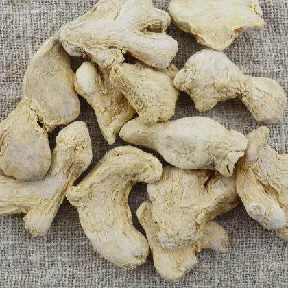 Dehydrated and air-dried whole ginger