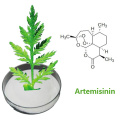 Artemisinina 99% polvo de extracto de artemisia anual contra la malaria