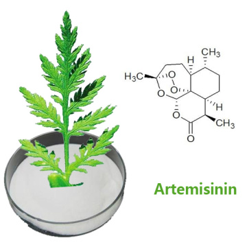 Artemisinin 99% Annual Artemisia Extract Powder Anti-malaria