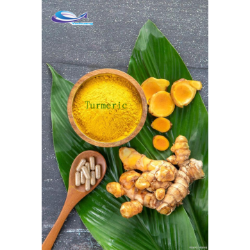 Hot Sell Natural turmeric raw powder curcumin curcuma