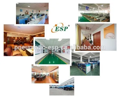 Swedn type Quick Coupler pneumatic metal fast joint pneumatic quick couplings