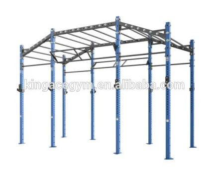 Fitness Equipment/Professional Hammer Strength Ascending Monkey Bar Rig