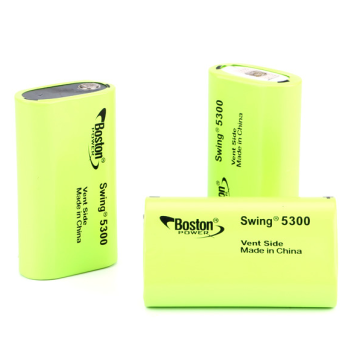 Cellule Lithium-ion rechargeable Boston Swing 5300
