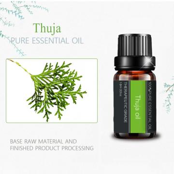 100%Pure Thuja Essential Oil For Skin Care Aromatherapy