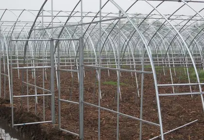 Galvanized Pipes Hot Dipped Galvanized Round Steel Pipe
